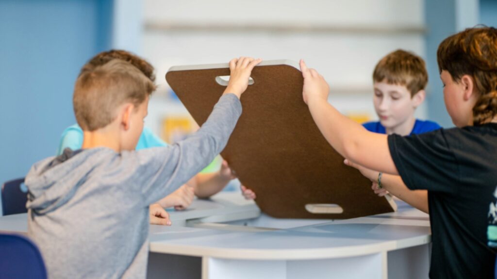 Community-Based Instruction (CBI) through the Lens of Differentiated Instruction